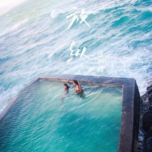 放纵L(DJ九零版)-怪阿姨