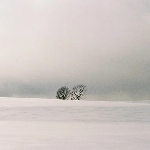 ????? (PROD.????)-???