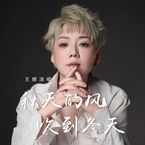 秋天的风吹到冬天-王娜