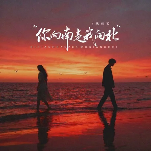 你向南走我向北-魏佳藝