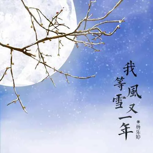 我等风雪又一年-杨乐婷