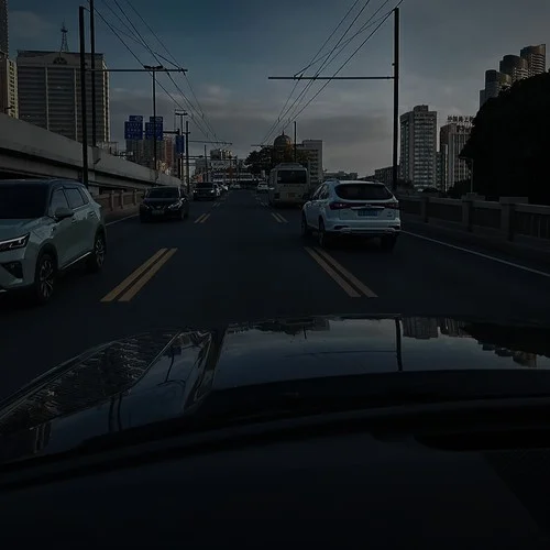 巴巴贝斯 (谁开车不听DJ啊)-大叔很下饭