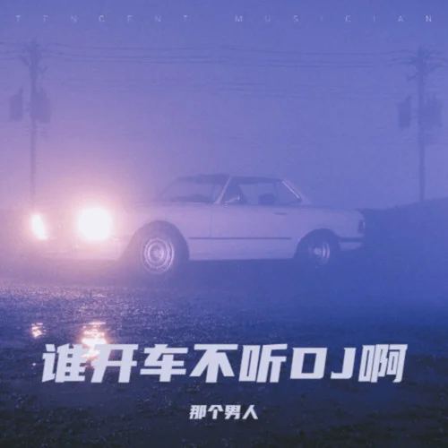 八方来财 (DJ版)-那个男人