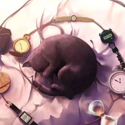 美卷入畫(huà)（Cover：小可樂(lè)）-王巨星