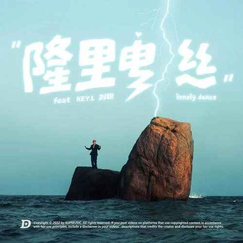 隆里电丝-盛宇D-SHINE