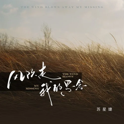 風(fēng)吹走我的思念-蘇星婕