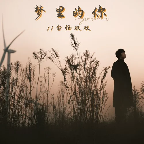 夢(mèng)里的你（DJ默涵版）-金鈺雙雙