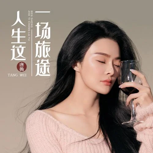 人生這一場(chǎng)旅途（DJ偉然版）-唐薇