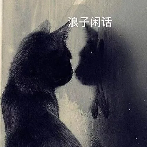 浪子閑話dj-虞姬