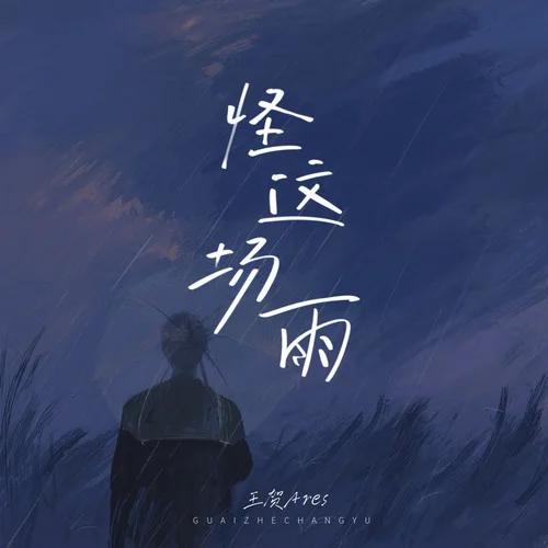 怪這場雨-王賀Ares