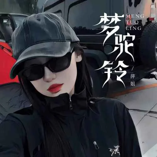 夢(mèng)駝鈴(煙嗓版)-萍姐