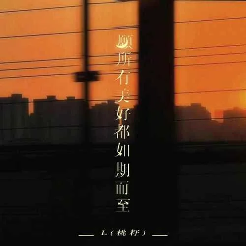 愿所有美好都如期而至-L（桃籽）