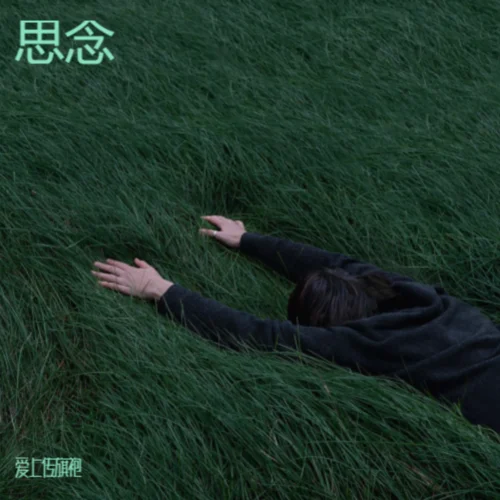 花海中的女孩與花的私語-愛上傳旗袍