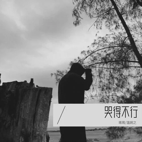 哭得不行(DJ逸風(fēng)版)-蔣蔣&溫婉之