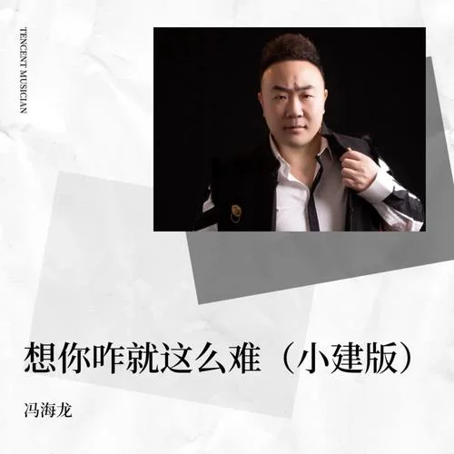 想你咋就這么難（DJ小建版）-馮海龍