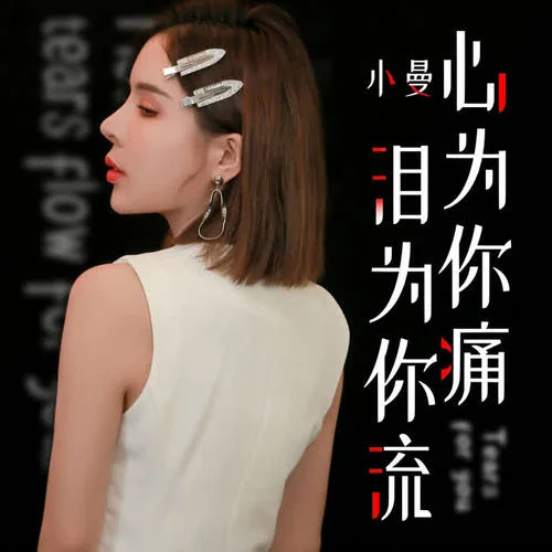 心為你痛淚為你流（DJheap九天版）-小曼