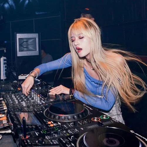 028 大東北我的家鄉(xiāng)dj-鳳飄飄落雁