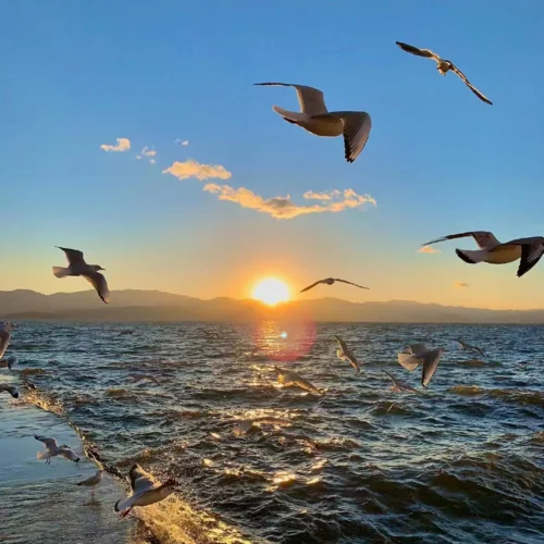 人生風(fēng)景在游走 每當(dāng)孤獨(dú)我回首-汪寒素