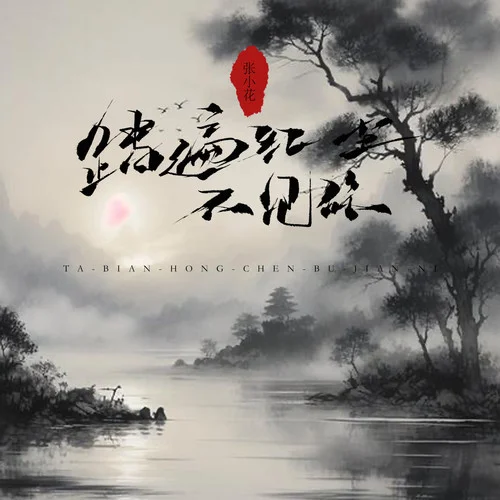 踏遍红尘不见你-张小花