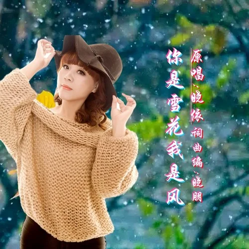 你是雪花我是風(fēng)DJ-曉朋&曉依