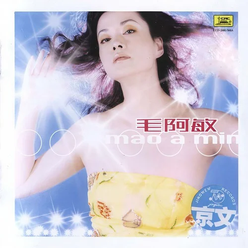 同一首歌-毛阿敏