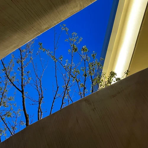 我陳浩南混這么久-小意y