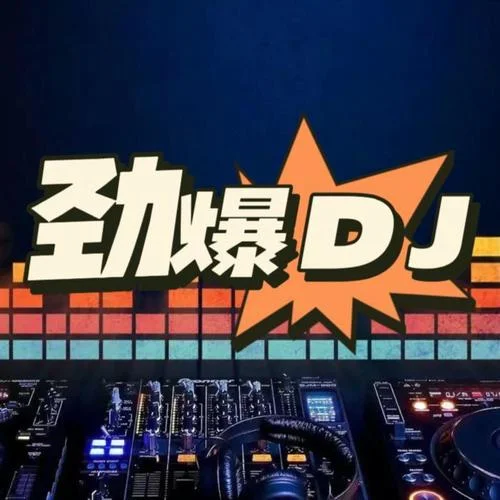 此生過(guò)半(DJ阿卓版)-是小小七呀