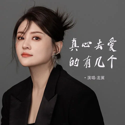 真心去愛的有幾個-龍翼
