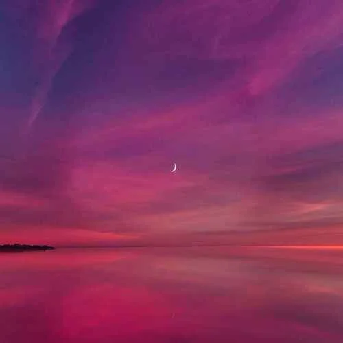 Fall In Love At Dusk（氛圍版）-Jonice