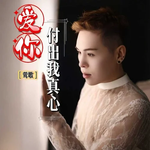 愛你付出我真心-鶯歌