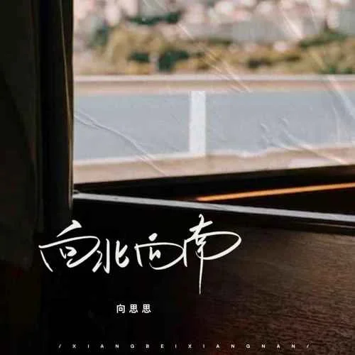 向北向南-向思思