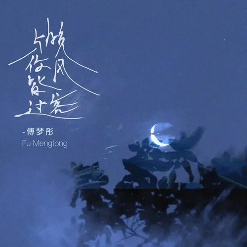 晚風(fēng)與你皆過客-傅夢彤