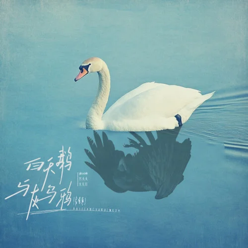 白天鵝與灰烏鴉 (合唱版)-gkuank&大頭釘&宮火火