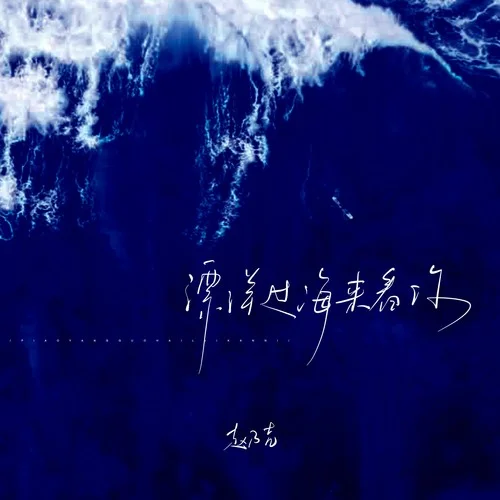 漂洋過海來看你（DJ阿卓版）-趙乃吉