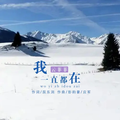 我一直都在-云菲菲
