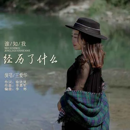 誰知我經(jīng)歷了什么-王愛華
