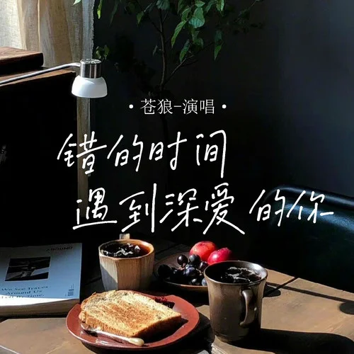 錯(cuò)的時(shí)間遇到深愛的你-蒼狼隨緣