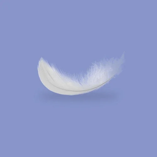 The Best Is yet to Come-Tim Halperin