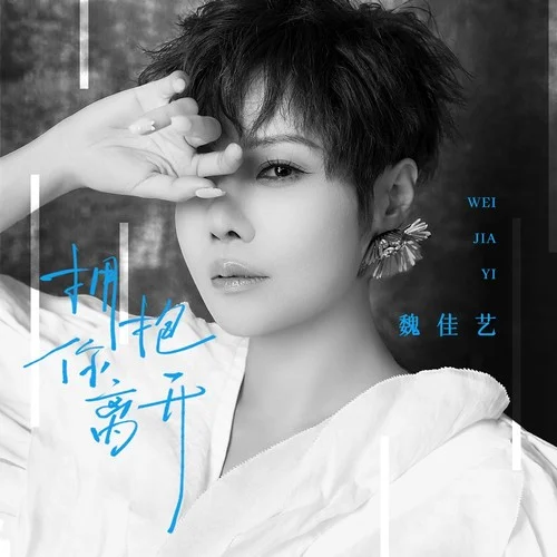 拥抱你离去-魏佳艺