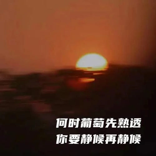 何時(shí)葡萄先熟透 你要靜候再靜候 (2025新年語錄)-AEC