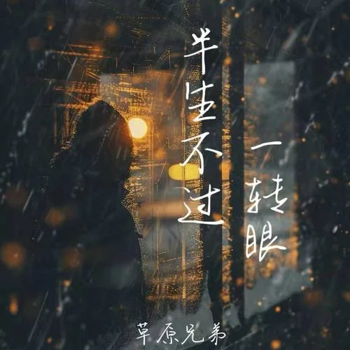 半生不過一轉(zhuǎn)眼 (車載DJ版)-草原兄弟