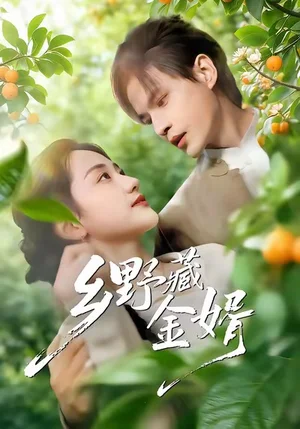 鄉(xiāng)野藏金婿（50集）馮琳玲＆吳杰