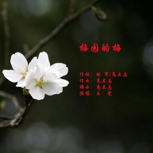 梅園的梅-高立志