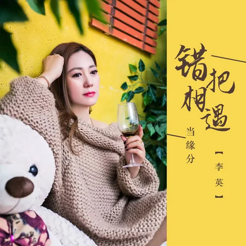 錯(cuò)把相遇當(dāng)緣分(DJ默涵版)-李英