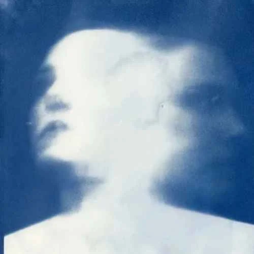 月色倒映在西湖 (原版)-bluesky