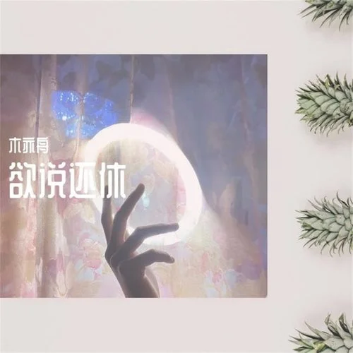 單車(DJ版)-莊心妍