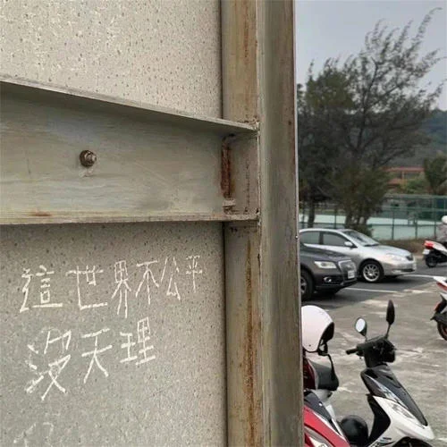 愛情的騙子我問你-十二大美女