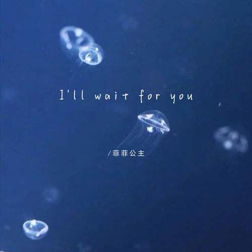I\'ll wait for you-菲菲公主