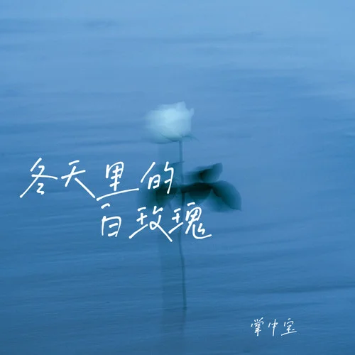 冬天里的白玫瑰-掌中寶