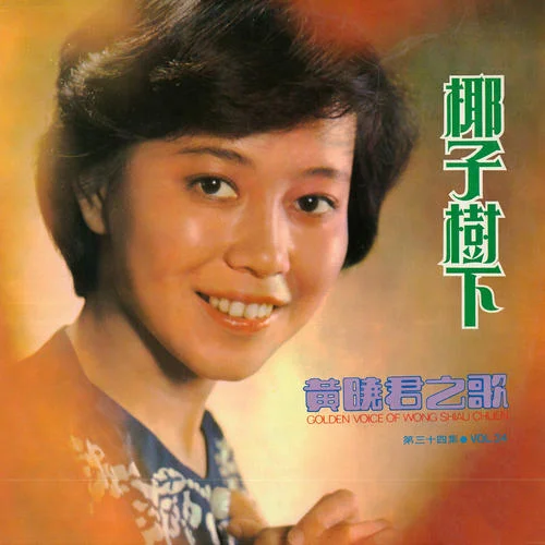 送给妈妈的歌(修复版)-黄晓君